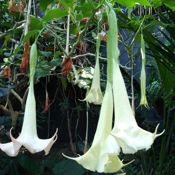 First of the year sale. Buy 2 or more get 10% off - Picture 2 of 2